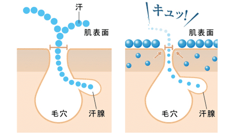 汗を抑えるイメージ